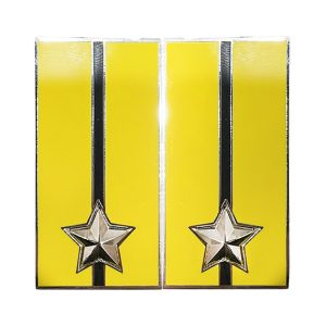 Mostrine Militari 17° Reggimento Addestramento Volontari “Acqui”