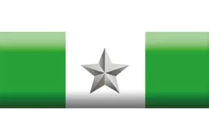 Nastrino d’Argento per Anzianità di Servizio (Truppa 25 Anni)