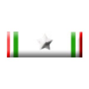 Nastrino Medaglia d’Argento al Merito della Croce Rossa Italiana
