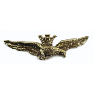 Brevetto Aquila Pilota Militare