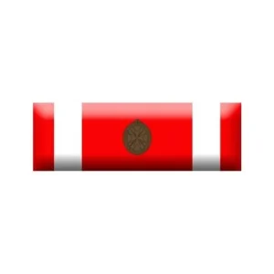 Nastrino SMOM al Merito Melitense Bronzo