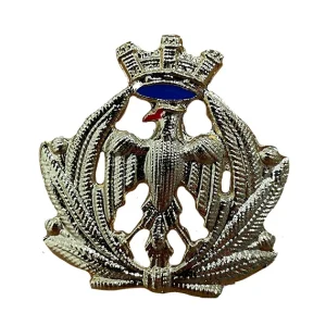 Fregio Metallico Bustina Aeronautica Militare