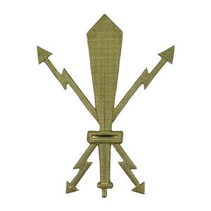 Fregio Berretto Brigata Informazioni Tattiche