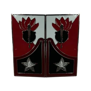 Mostrine Militari Genio Guastatori Esercito