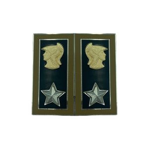 Mostrine Militari Corpo Ingegneri Armamento