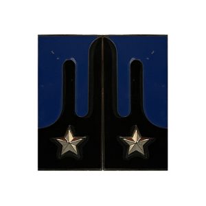 Mostrine Militari Arma Trasporti e Materiali