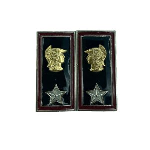 Mostrine Militari Corpo Ingegneri Infrastrutture