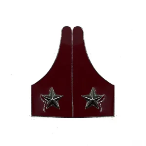 Mostrine Militari Sanità Esercito