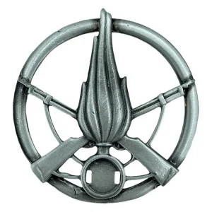 Fregio Basco Fanteria